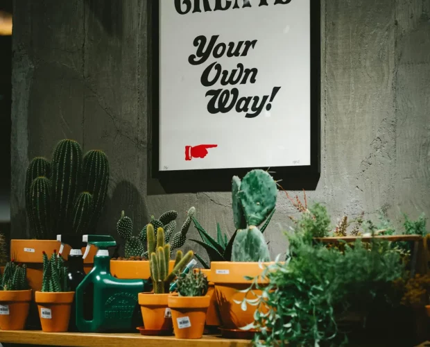tommao-wang-fbGXKgvEAt8-unsplash tommao-wang-fbGXKgvEAt8-unsplash